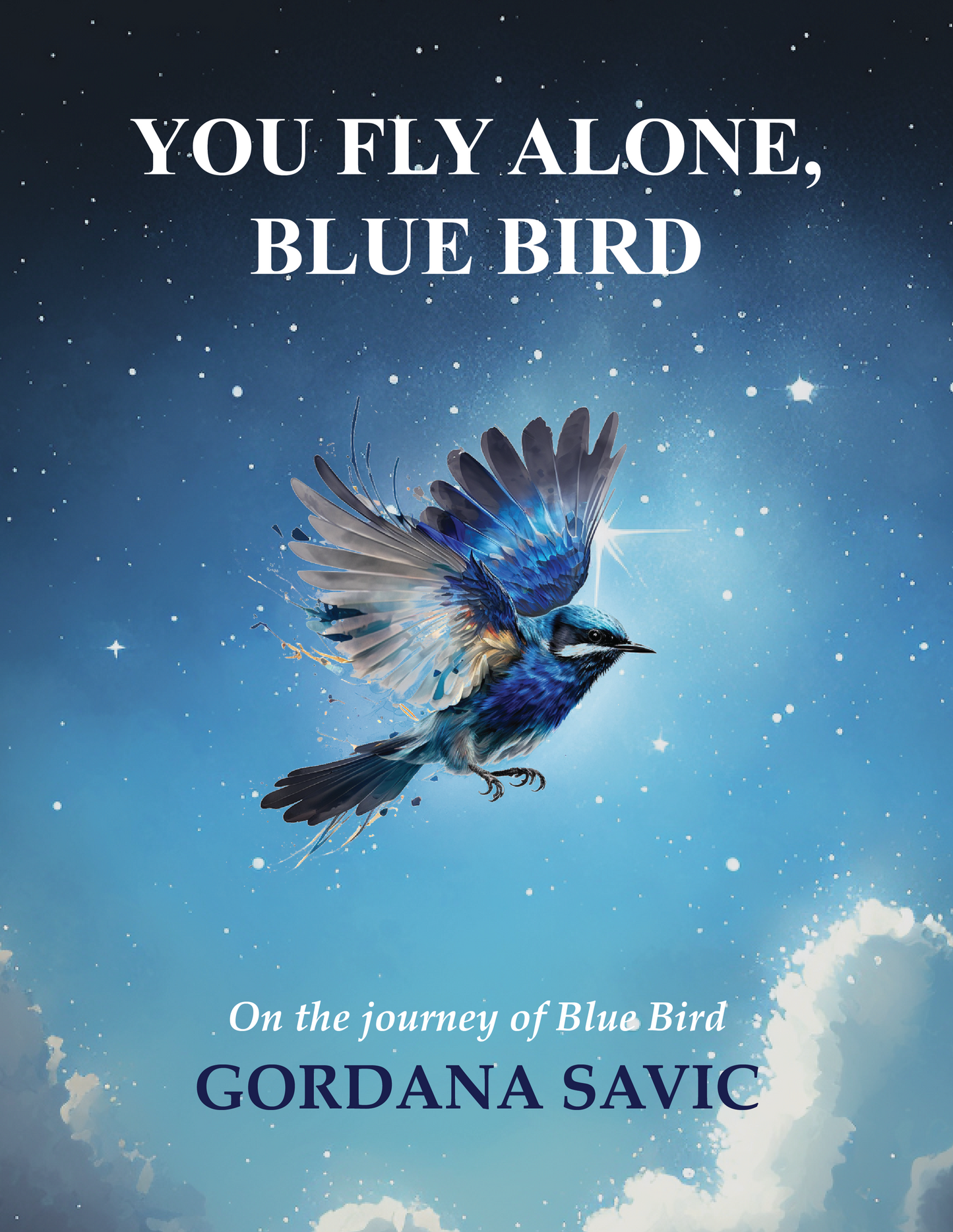 book, non fiction, self-reflection, thought-provoking, life choices, self-awareness, You fly alone, blue bird, on the journey of blue bird, Gordana Savic